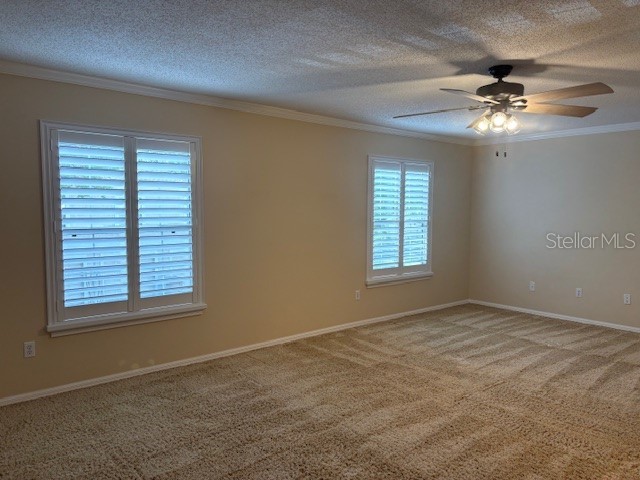 6314 Misty Terrace #6314 Temple Terrace FL 33617 TB8496119 image14