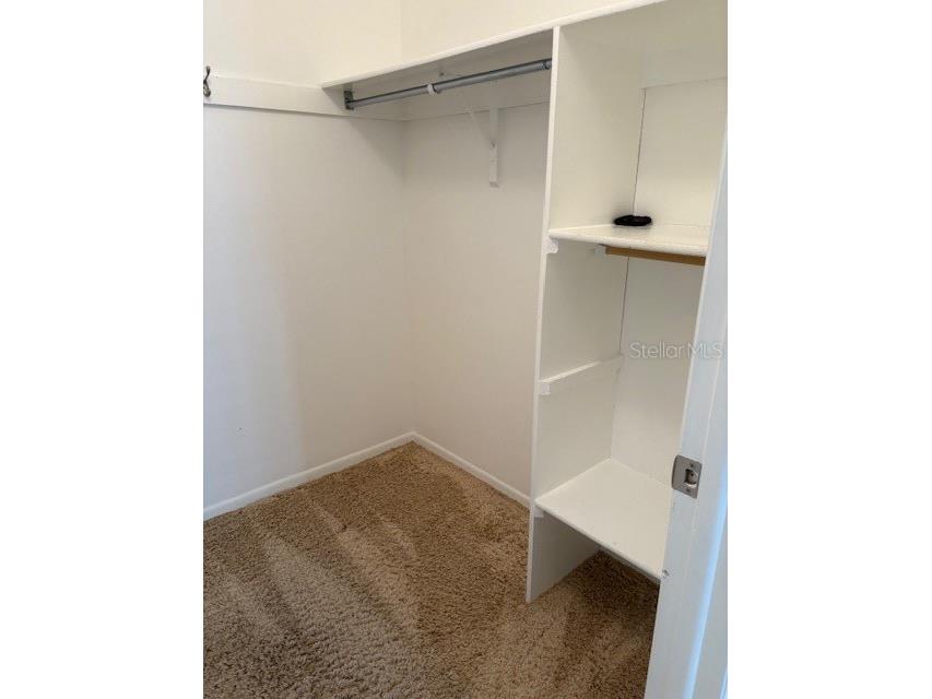 6314 Misty Terrace #6314 Temple Terrace FL 33617 TB8496119 image17
