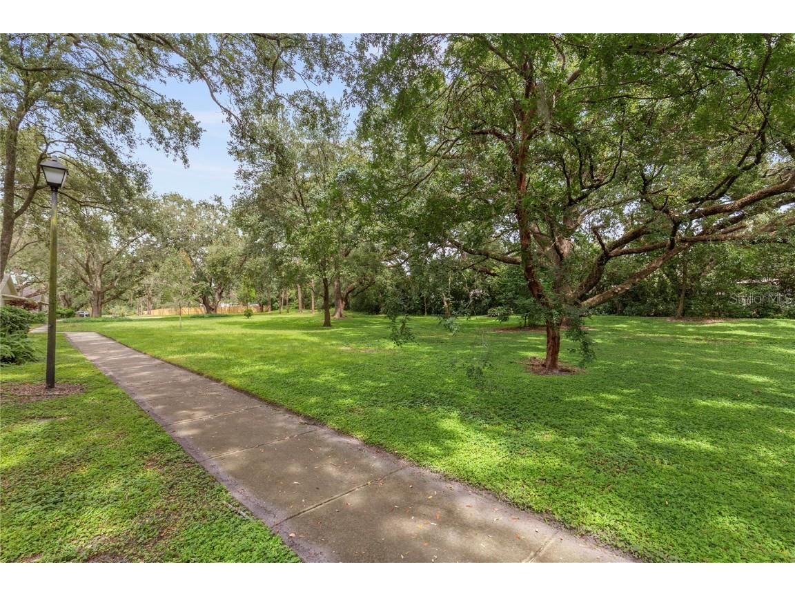 6314 Morningmist Court #0 Temple Terrace FL 33617 TB8430956 image35