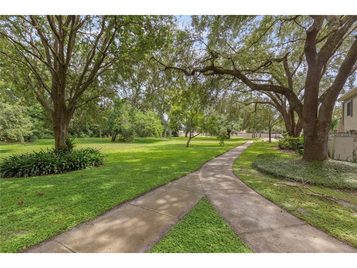 6314 Morningmist Court #0 Temple Terrace FL 33617 TB8430956 image36