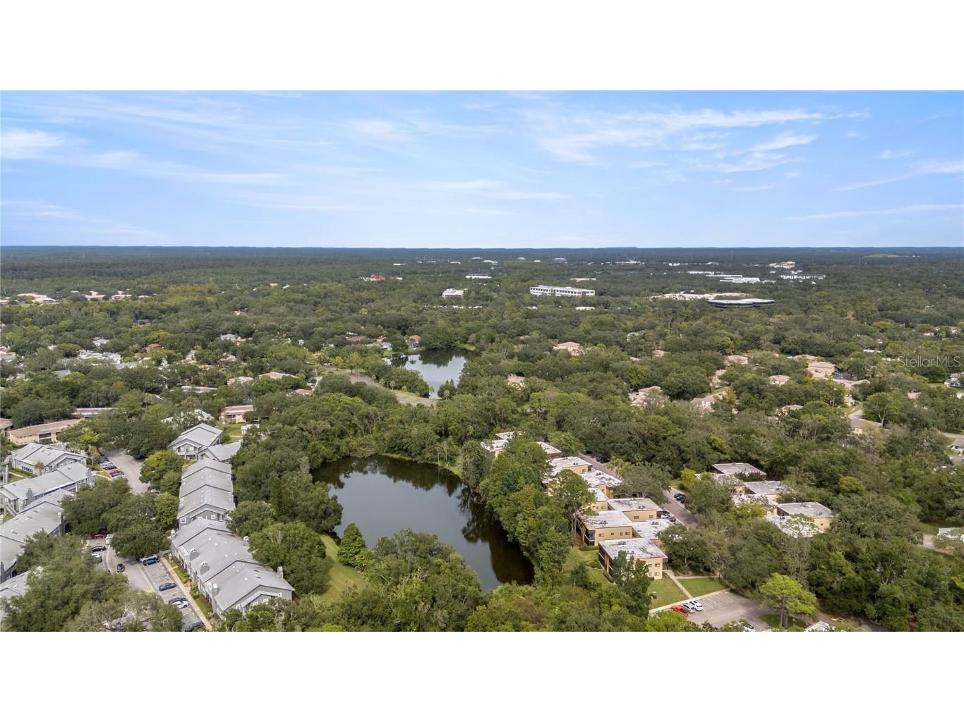 6314 Morningmist Court #0 Temple Terrace FL 33617 TB8430956 image43