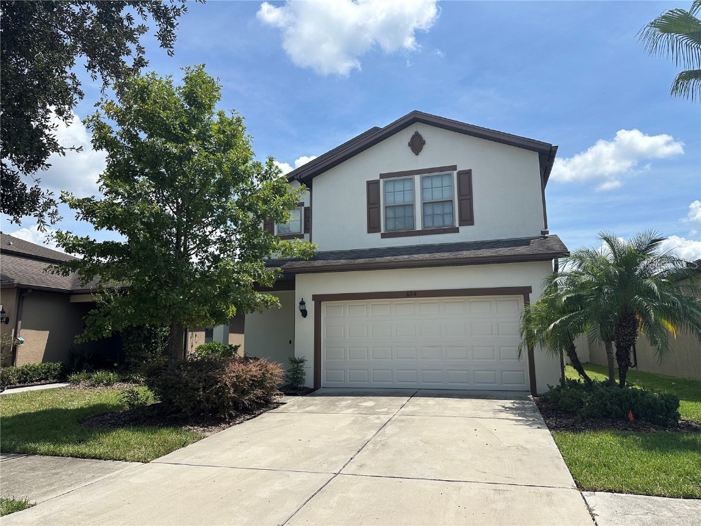6314 Yellow Buckeye Drive Riverview FL 33578 A4663652 image1