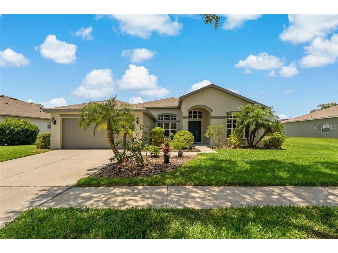 6315 Bridgevista Drive Lithia FL 33547 T3449938 image1
