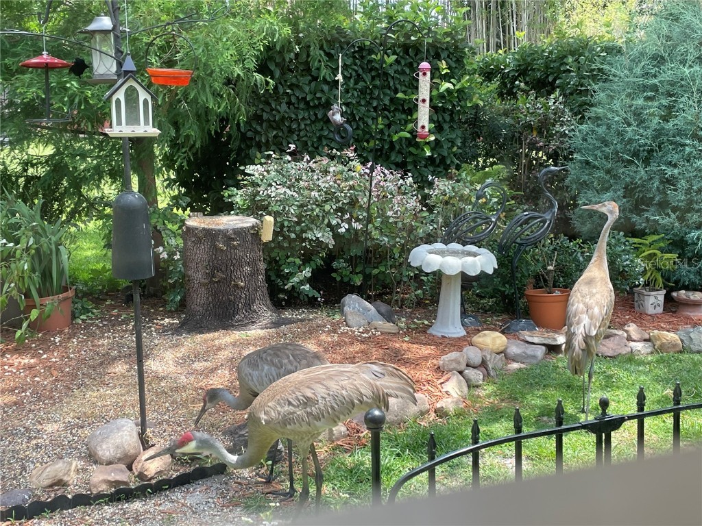 6315 Clearmeadow Court Windermere FL 34786 O6330497 image39