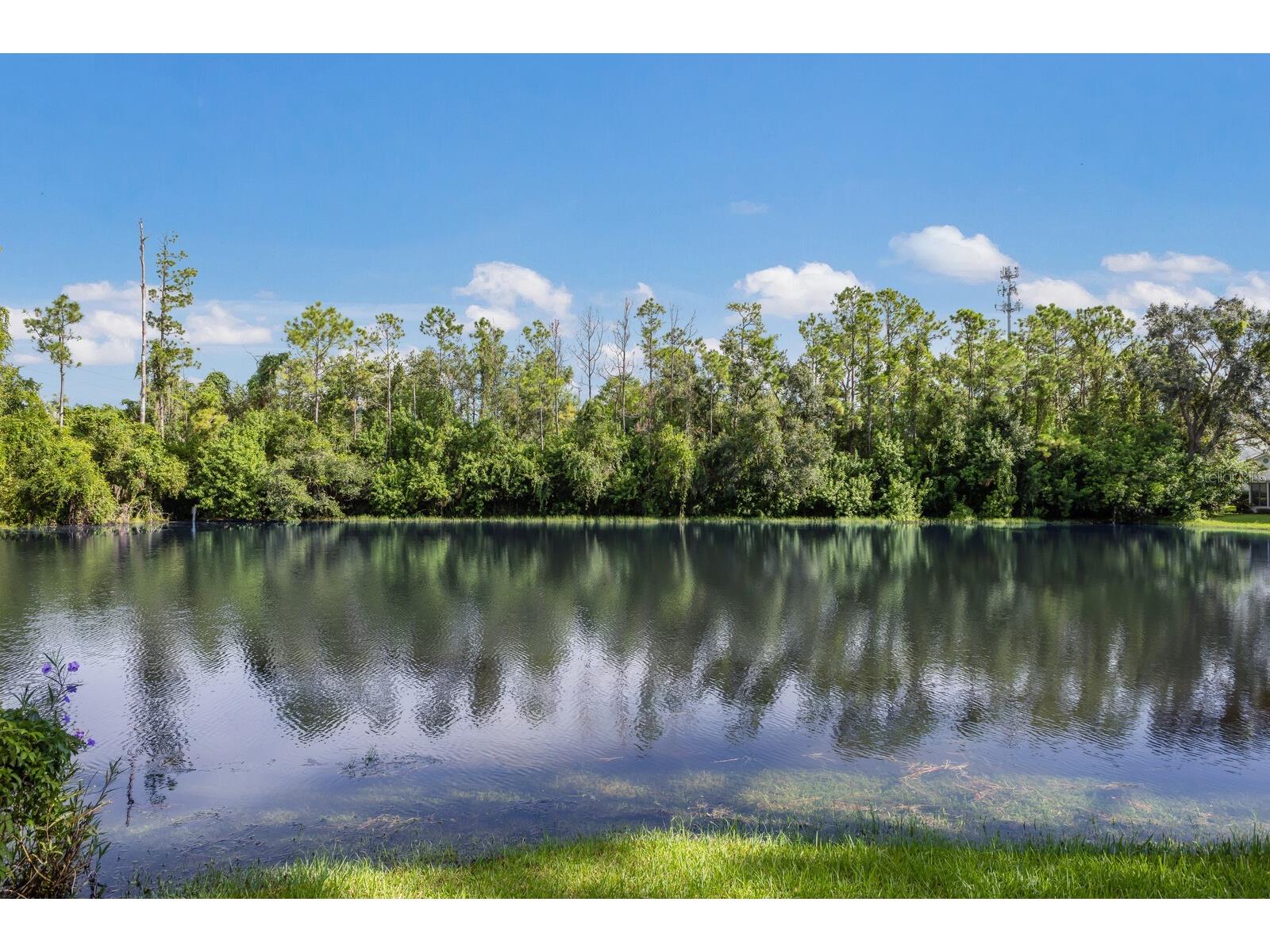 6315 Green Oak Circle #13A Bradenton FL 34203 A4664652 image3