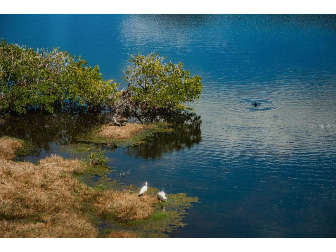 6315 Shoreline Drive #3305 Madeira Beach FL 33708 TB8444192 image4