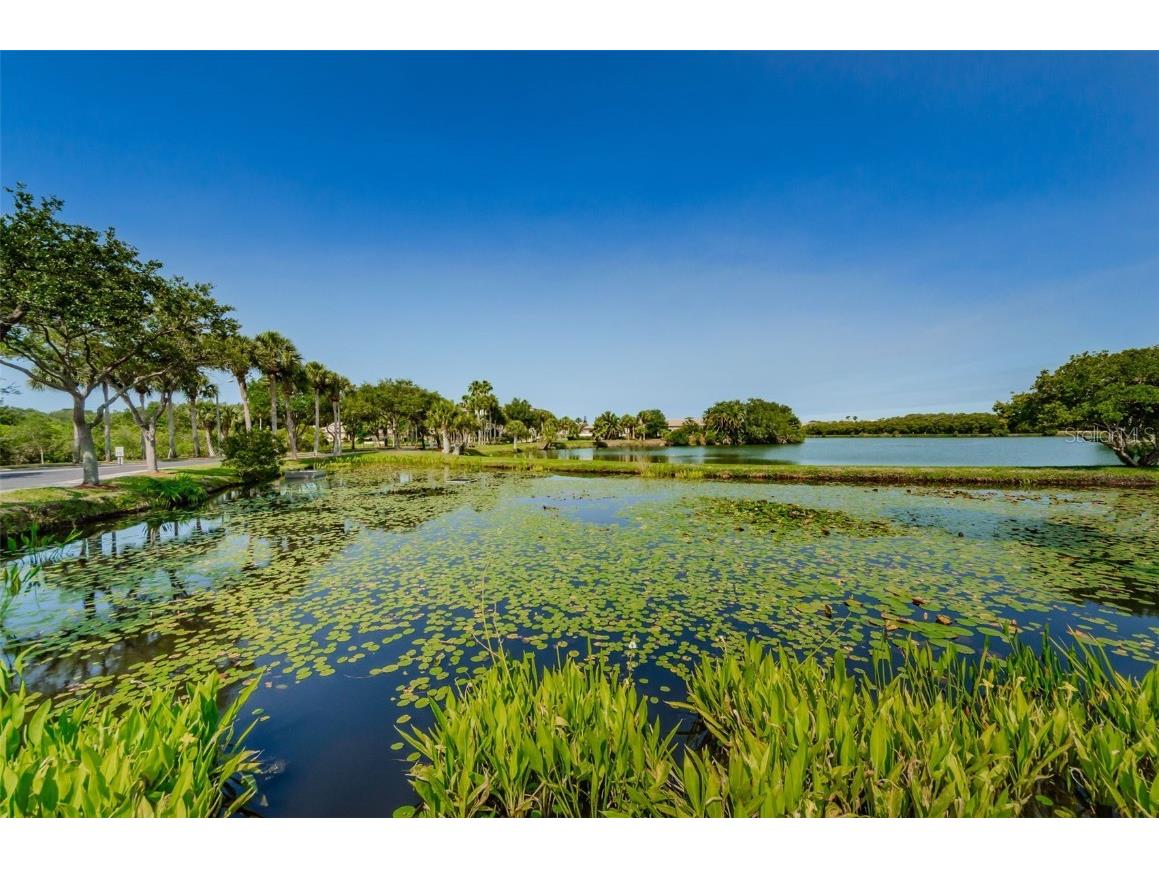 6315 Shoreline Drive #3305 Madeira Beach FL 33708 TB8444192 image5