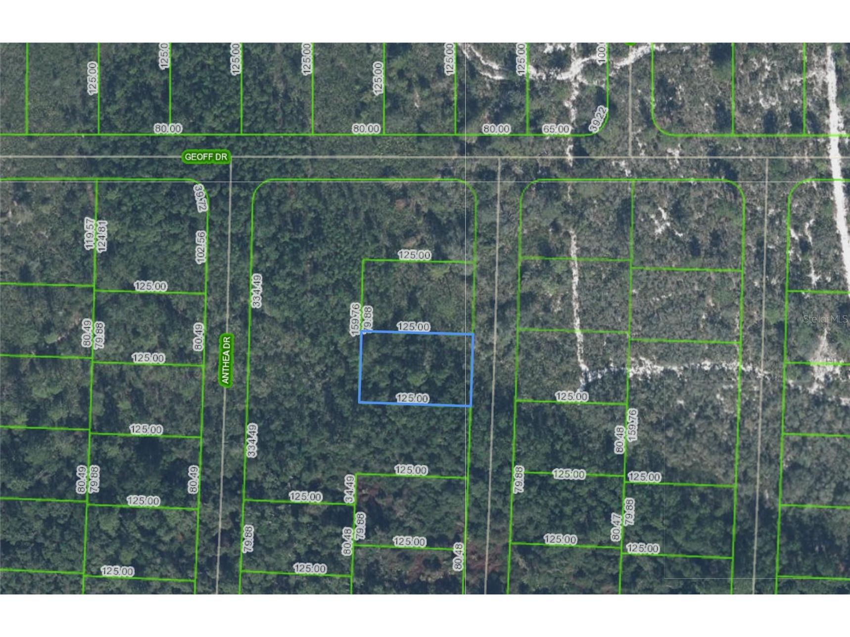 6316 Alicia Drive Sebring FL 33872 P4938295 image1