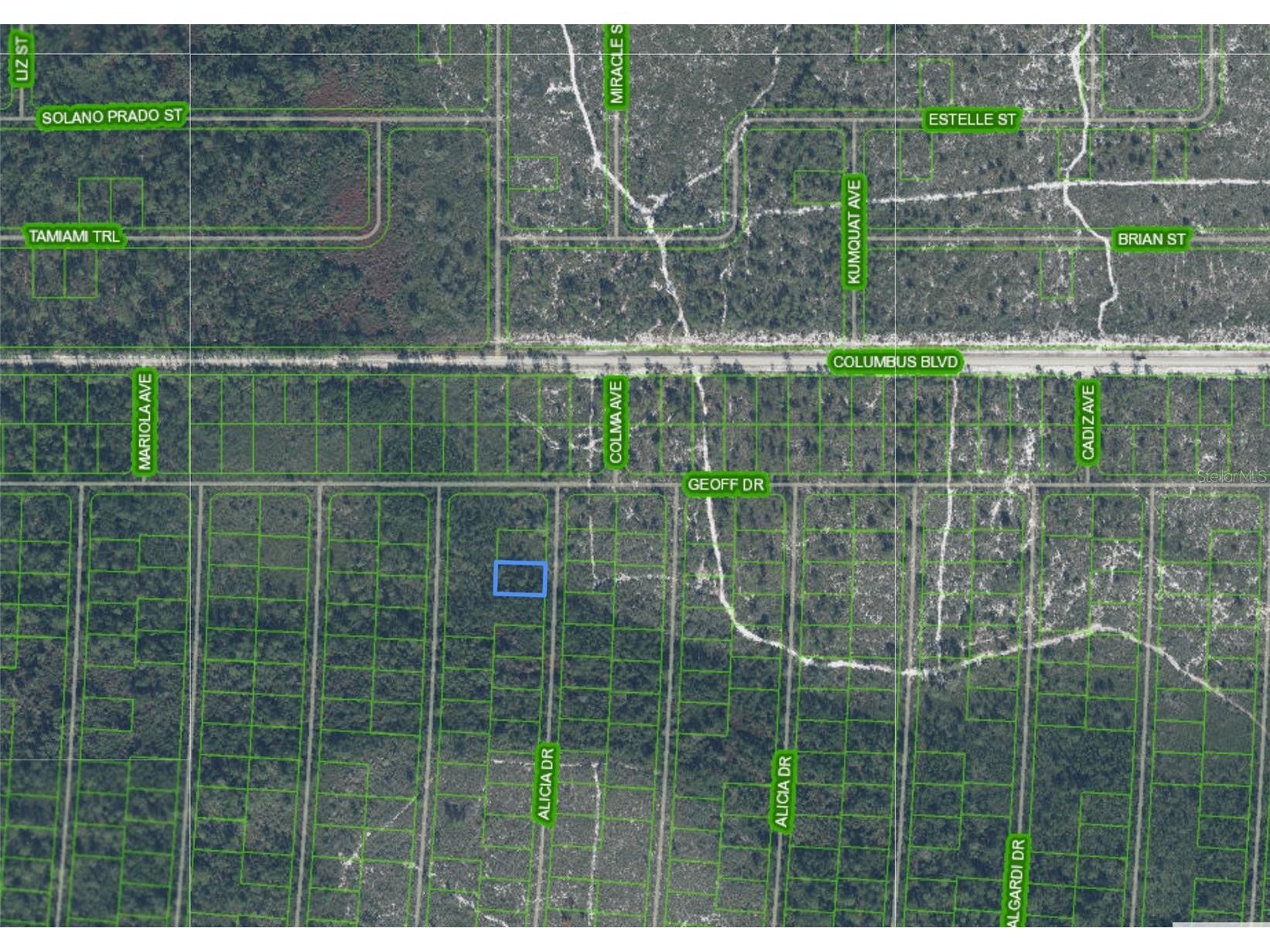 6316 Alicia Drive Sebring FL 33872 P4938295 image2