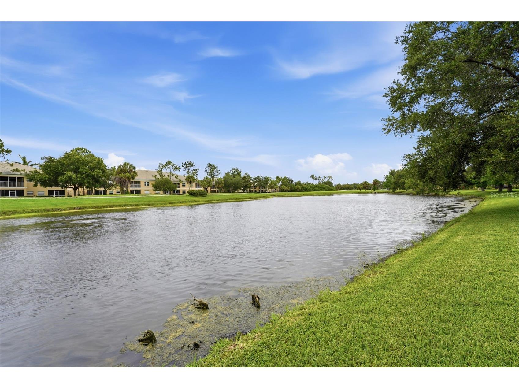 6316 Cormorant Court Bradenton FL 34203 A4695809 image43