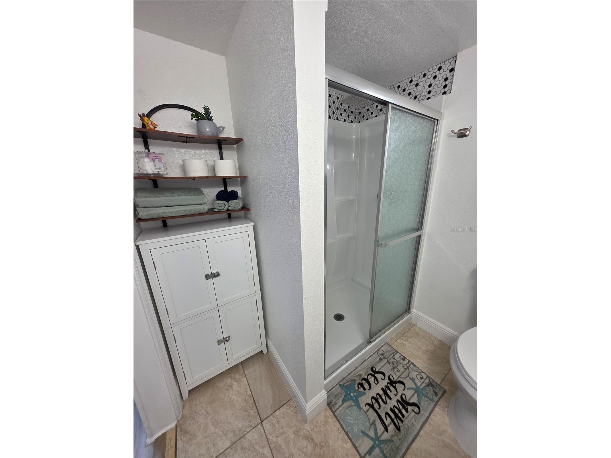 6316 Fairway Boulevard Apollo Beach FL 33572 TB8504278 image40