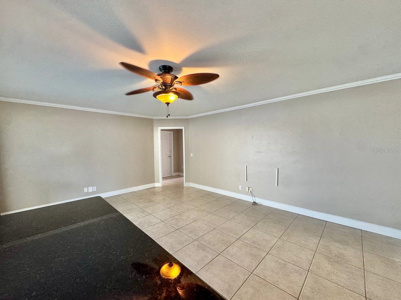 6316 Lake Sunrise Drive Apollo Beach FL 33572 TB8506191 image21
