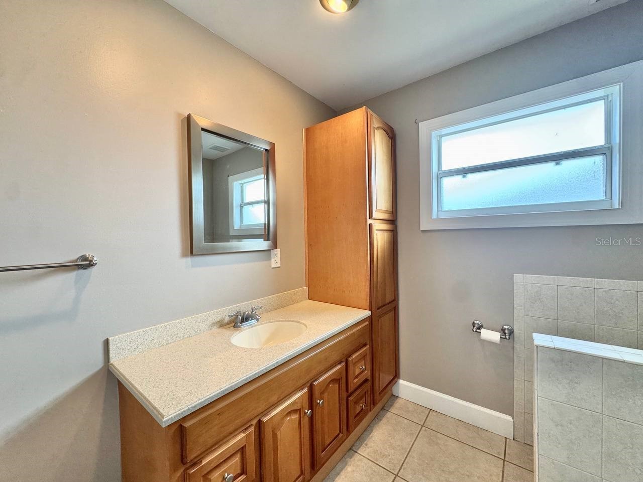 6316 Lake Sunrise Drive Apollo Beach FL 33572 TB8506191 image41