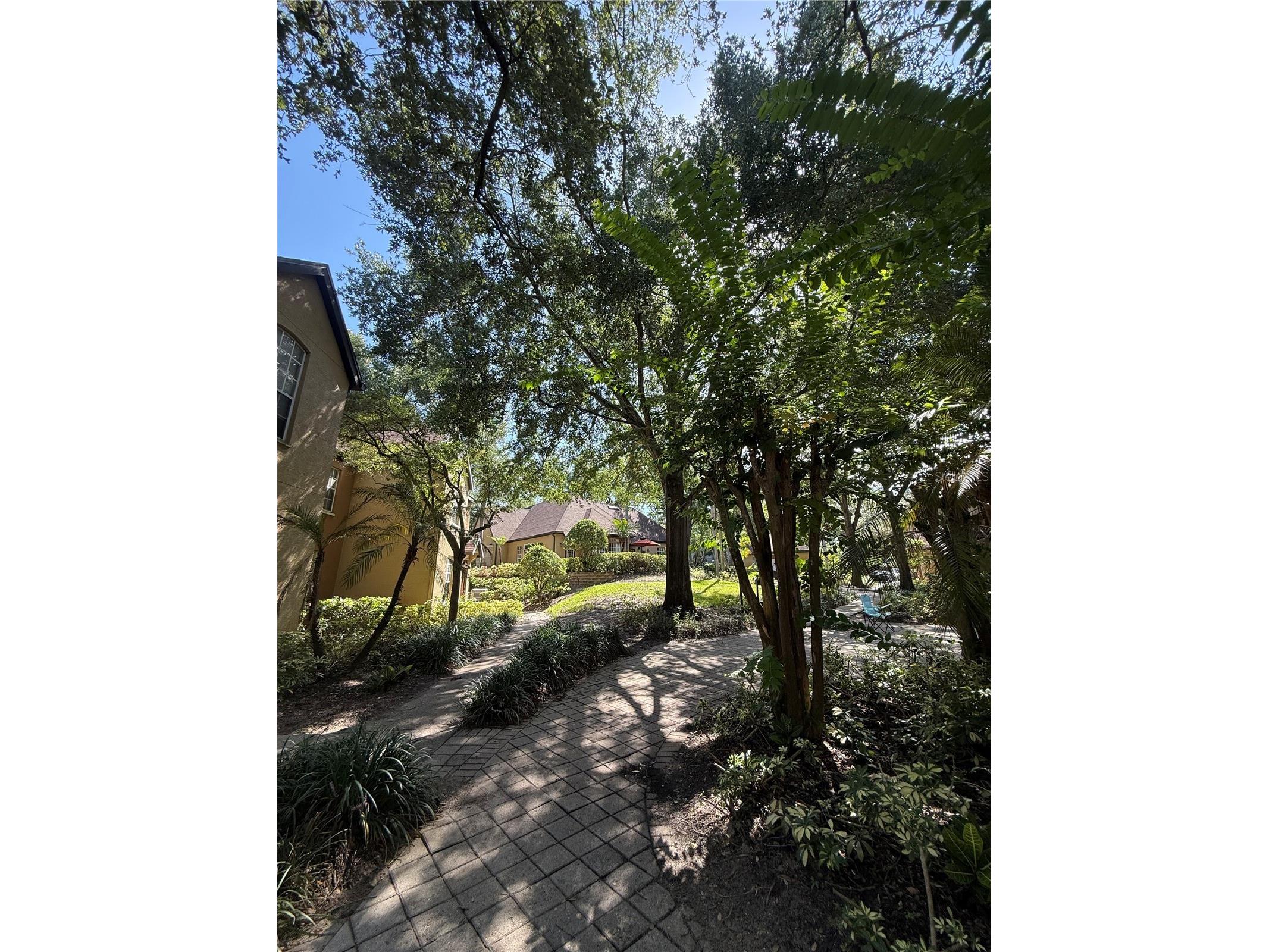 6316 Raleigh Street #401 Orlando FL 32835 O6422372 image13