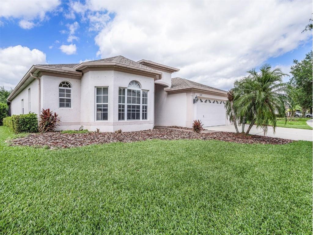 6317 Bridgevista Drive Lithia FL 33547 T3436847 image1