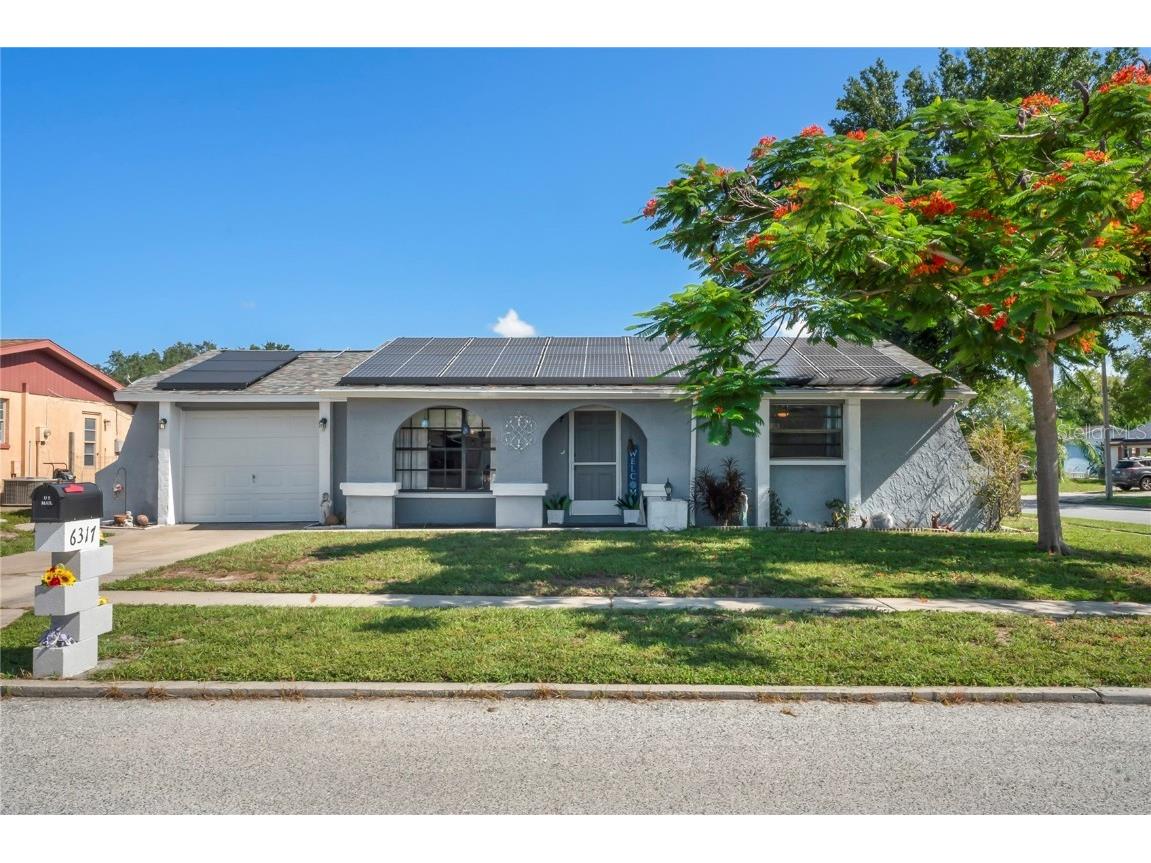 6317 Lodge Drive New Port Richey FL 34653 U8254051 image1