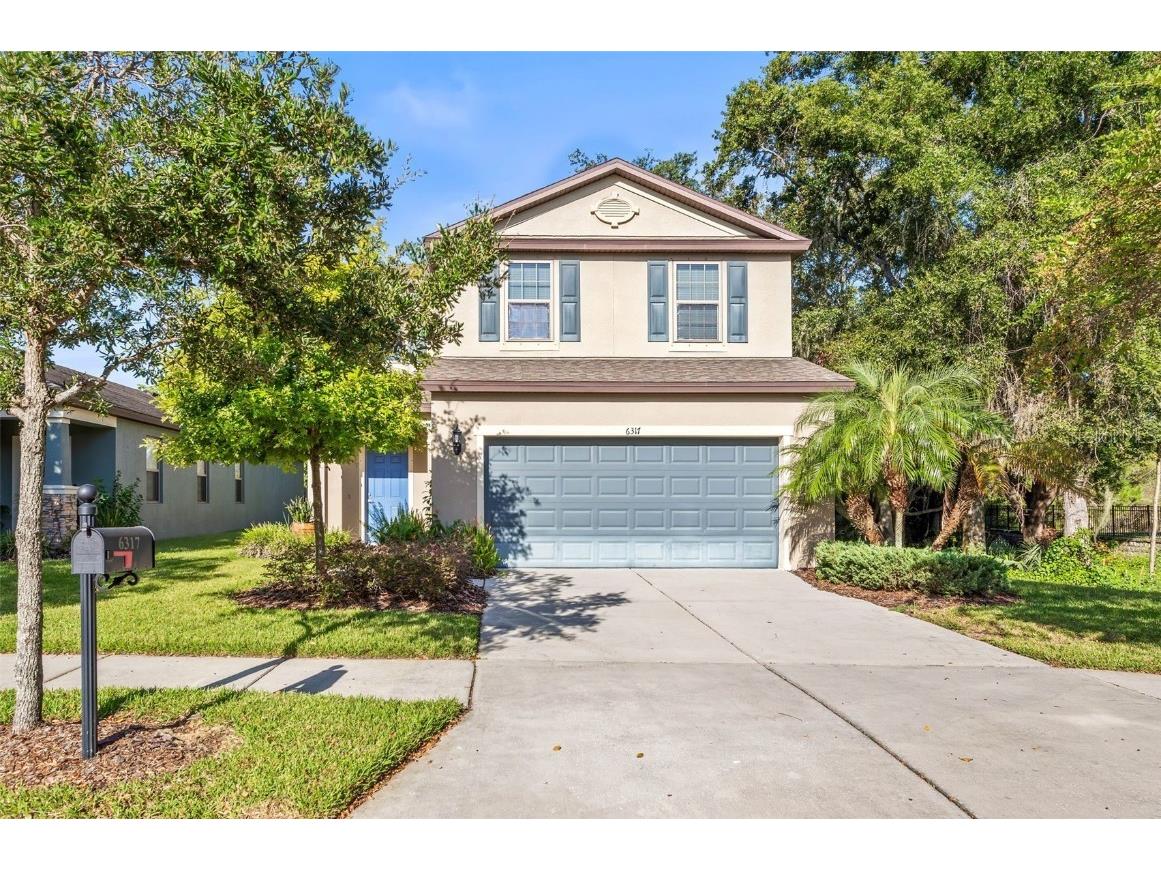6317 Magnolia Park Boulevard Riverview FL 33578 - POND TB8307027 image1