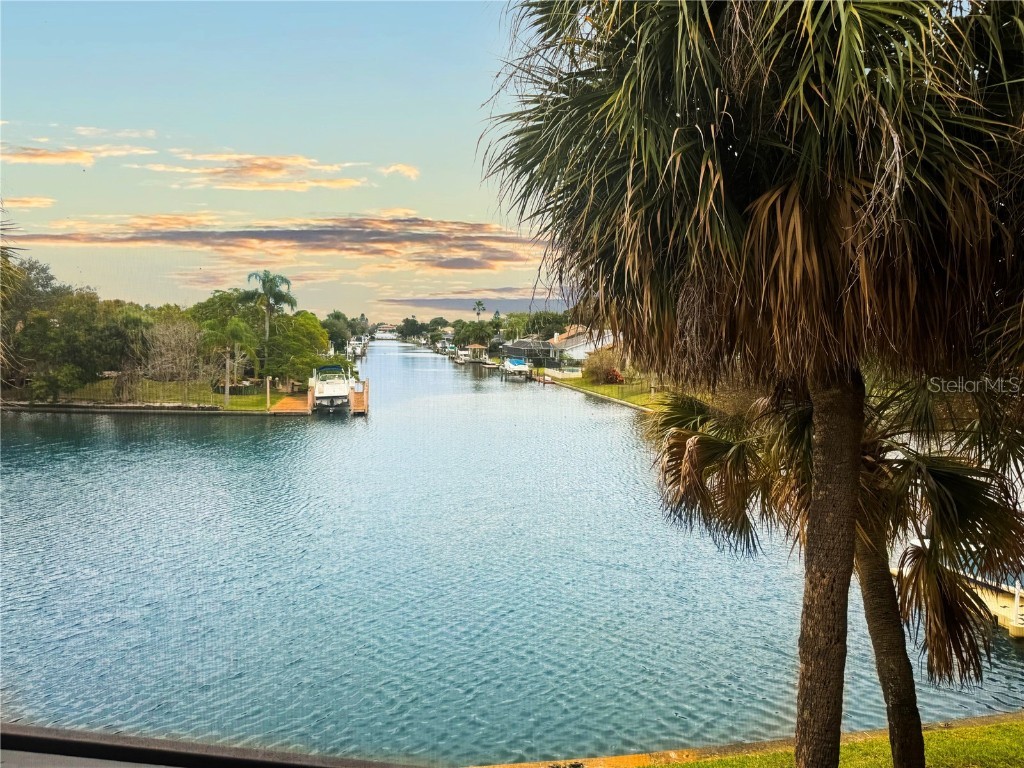 6317 Newtown Circle #17B1 Tampa FL 33615 T3494521 image1