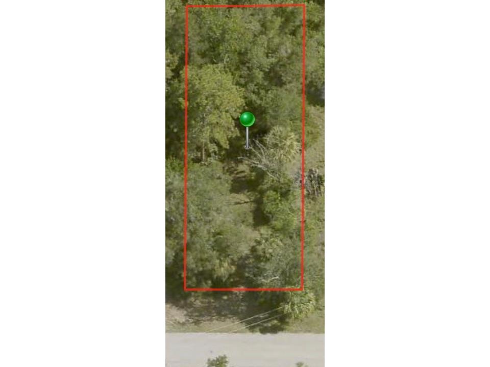6317 W Mango Lane Crystal River FL 34429 O6177041 image1