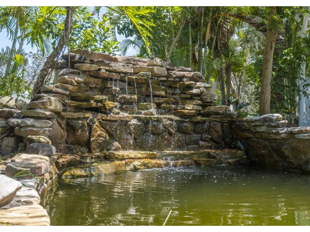 6317 Werner Avenue New Port Richey FL 34652 A4627354 image30