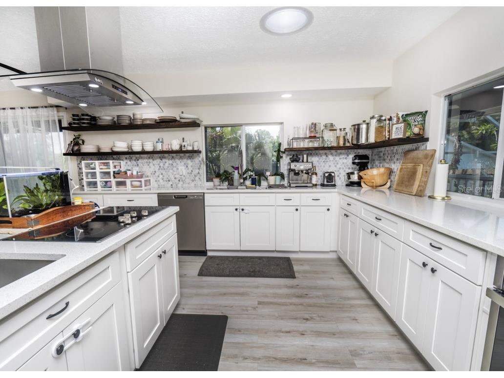 6317 Werner Avenue New Port Richey FL 34652 A4627354 image8