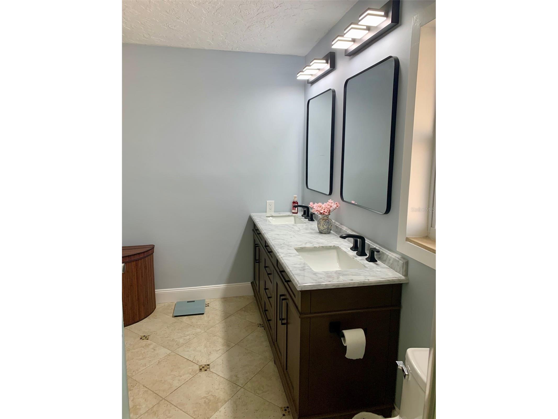 6317 Wisteria Lane Apollo Beach FL 33572 TB8489090 image23