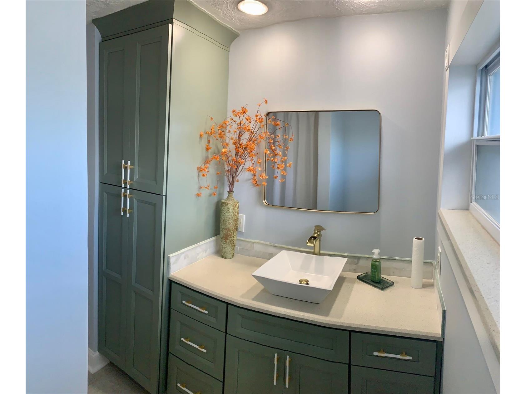 6317 Wisteria Lane Apollo Beach FL 33572 TB8489090 image31