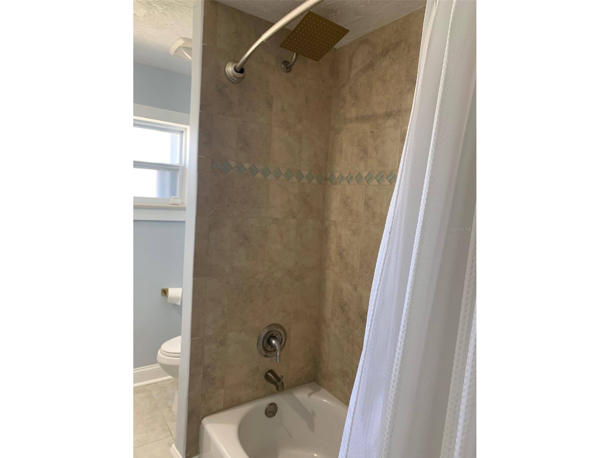 6317 Wisteria Lane Apollo Beach FL 33572 TB8489090 image34