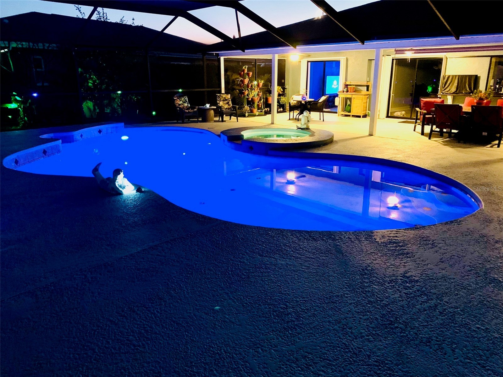 6317 Wisteria Lane Apollo Beach FL 33572 TB8489090 image45