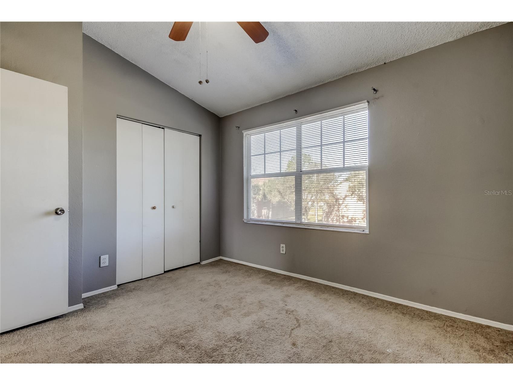 6318 Bayside Key Drive Tampa FL 33615 TB8484518 image22