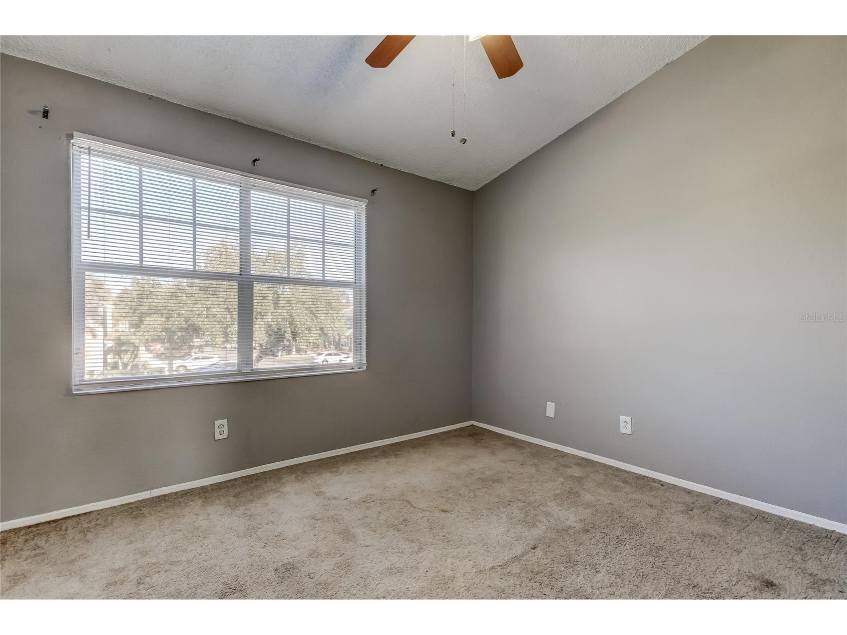 6318 Bayside Key Drive Tampa FL 33615 TB8484518 image24