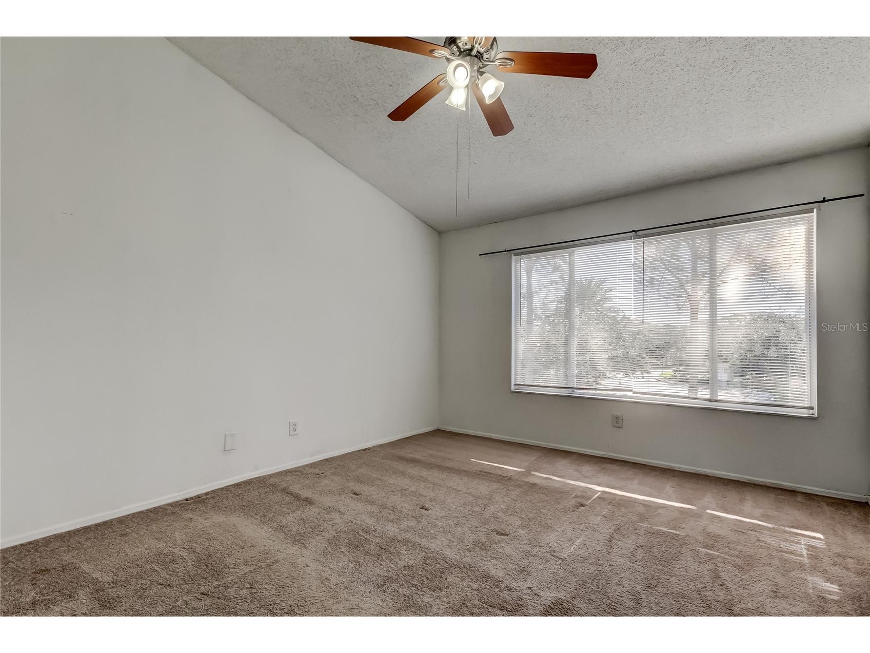 6318 Bayside Key Drive Tampa FL 33615 TB8484518 image28
