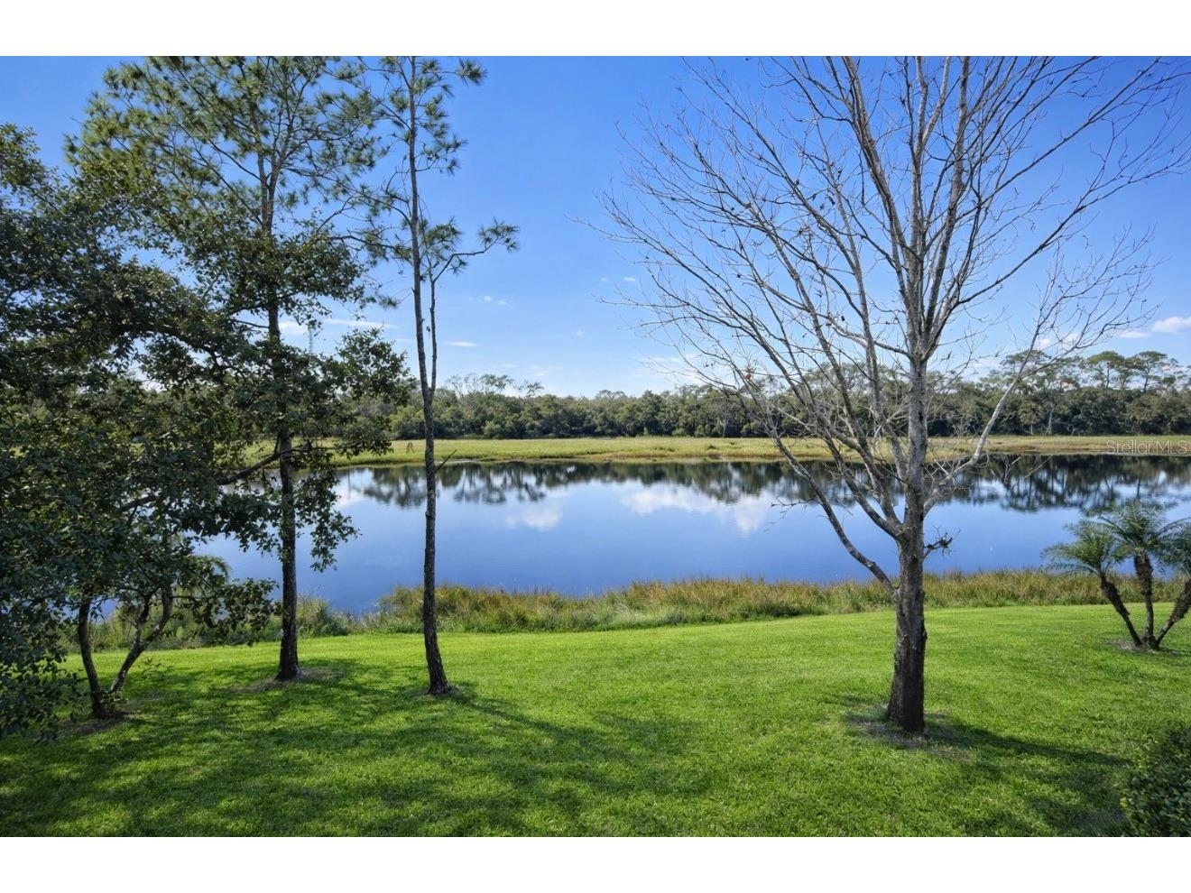 6318 Grand Oak Circle #201 Bradenton FL 34203 A4682157 image25