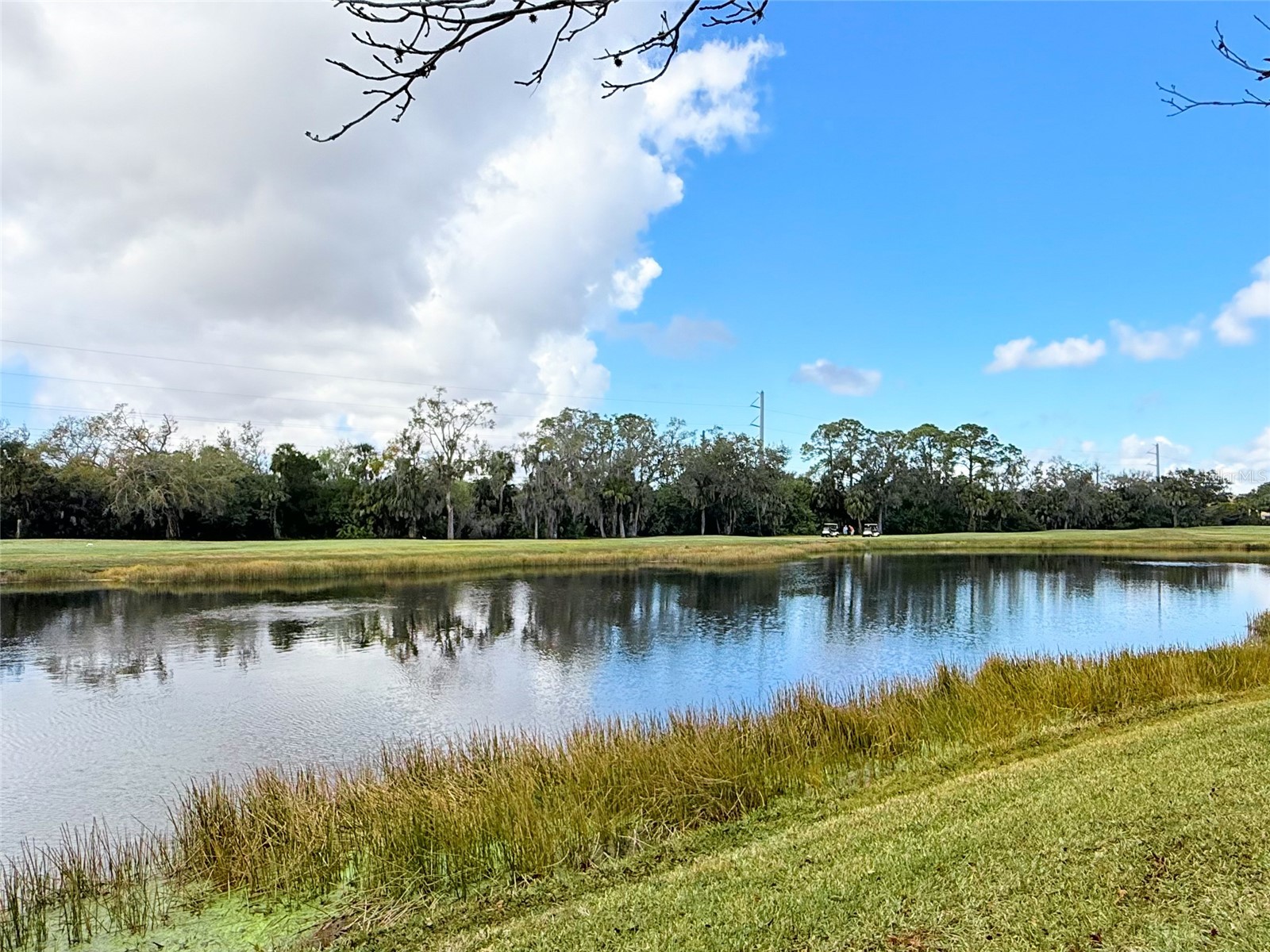 6318 Grand Oak Circle #201 Bradenton FL 34203 A4682157 image26