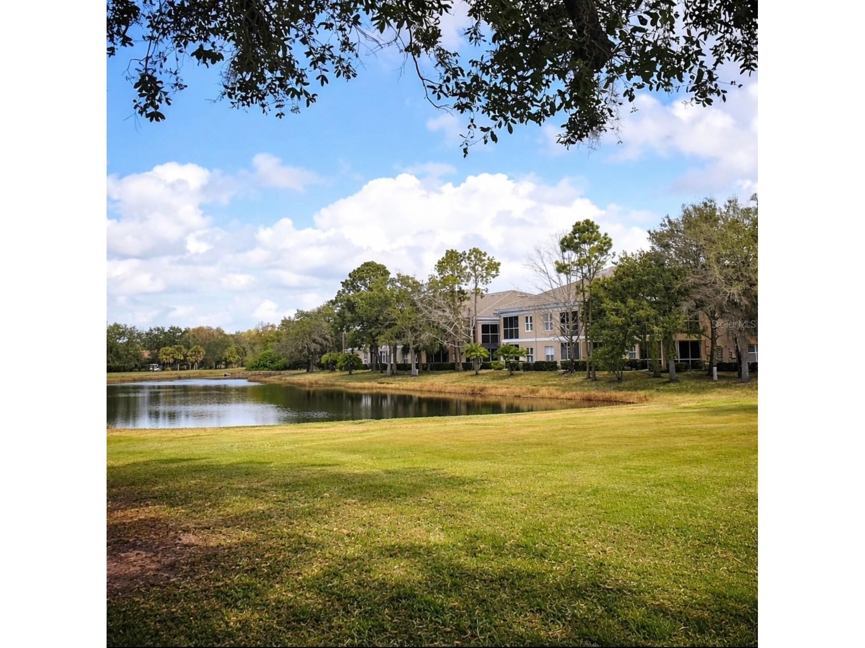 6318 Grand Oak Circle #201 Bradenton FL 34203 A4682157 image28