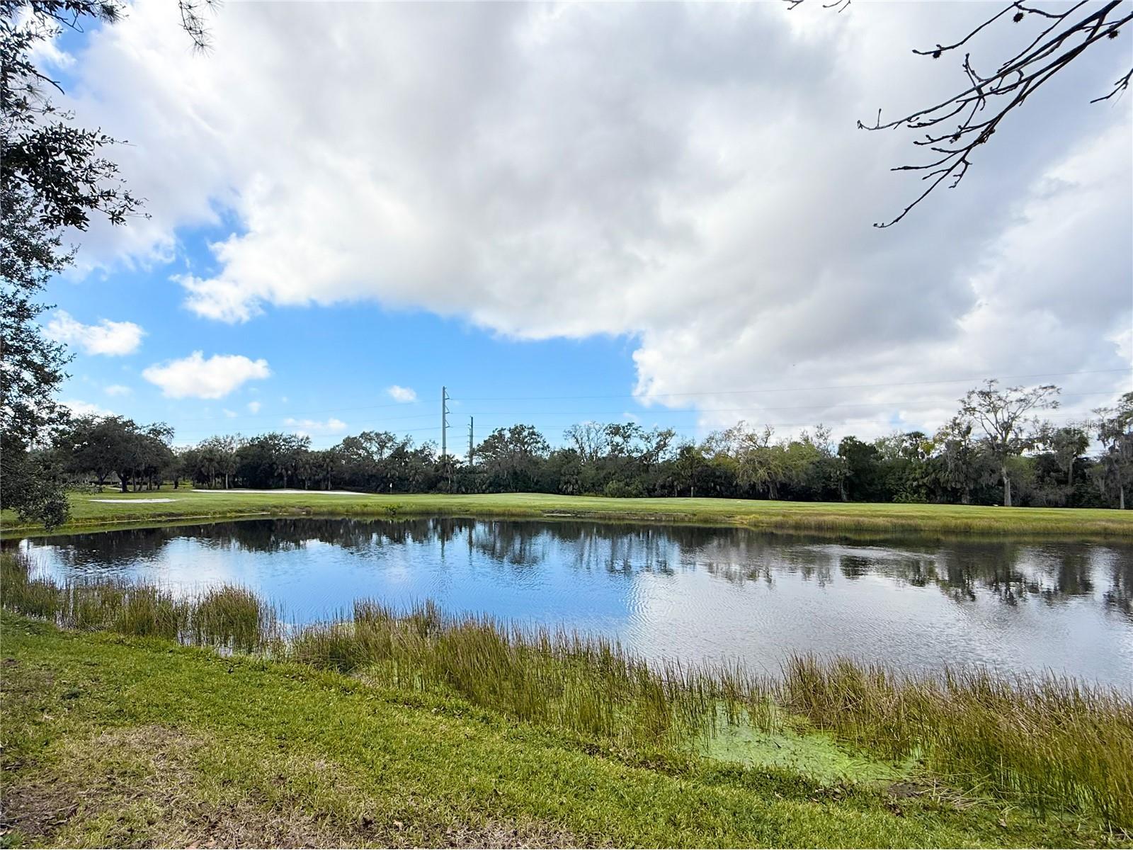 6318 Grand Oak Circle #201 Bradenton FL 34203 A4682157 image29