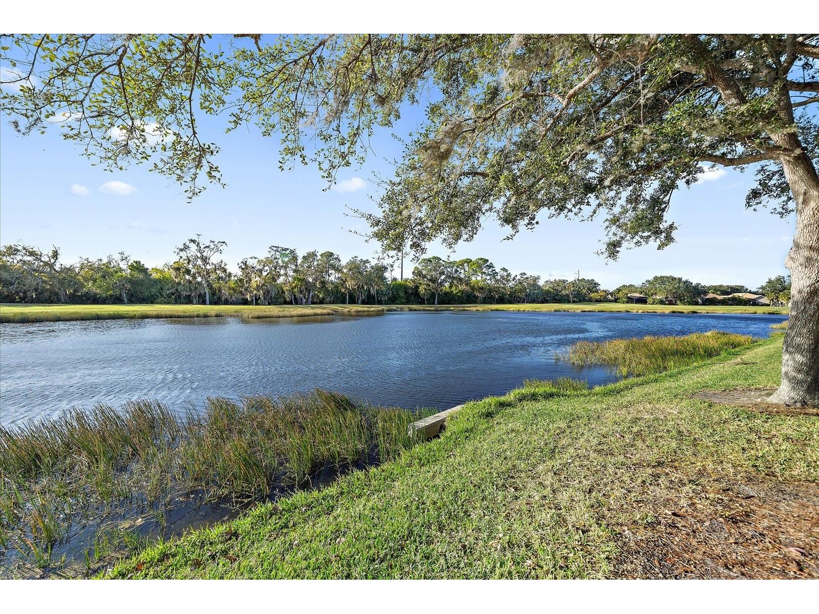 6318 Grand Oak Circle #204 Bradenton FL 34203 A4678444 image35