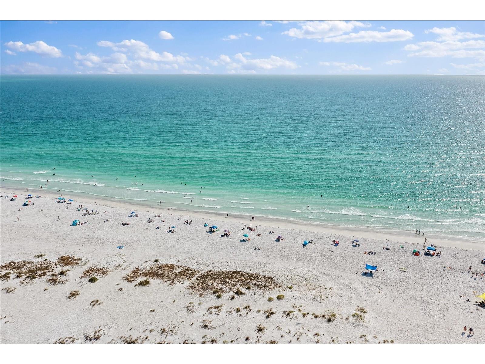 6318 Grand Oak Circle #204 Bradenton FL 34203 A4678444 image47