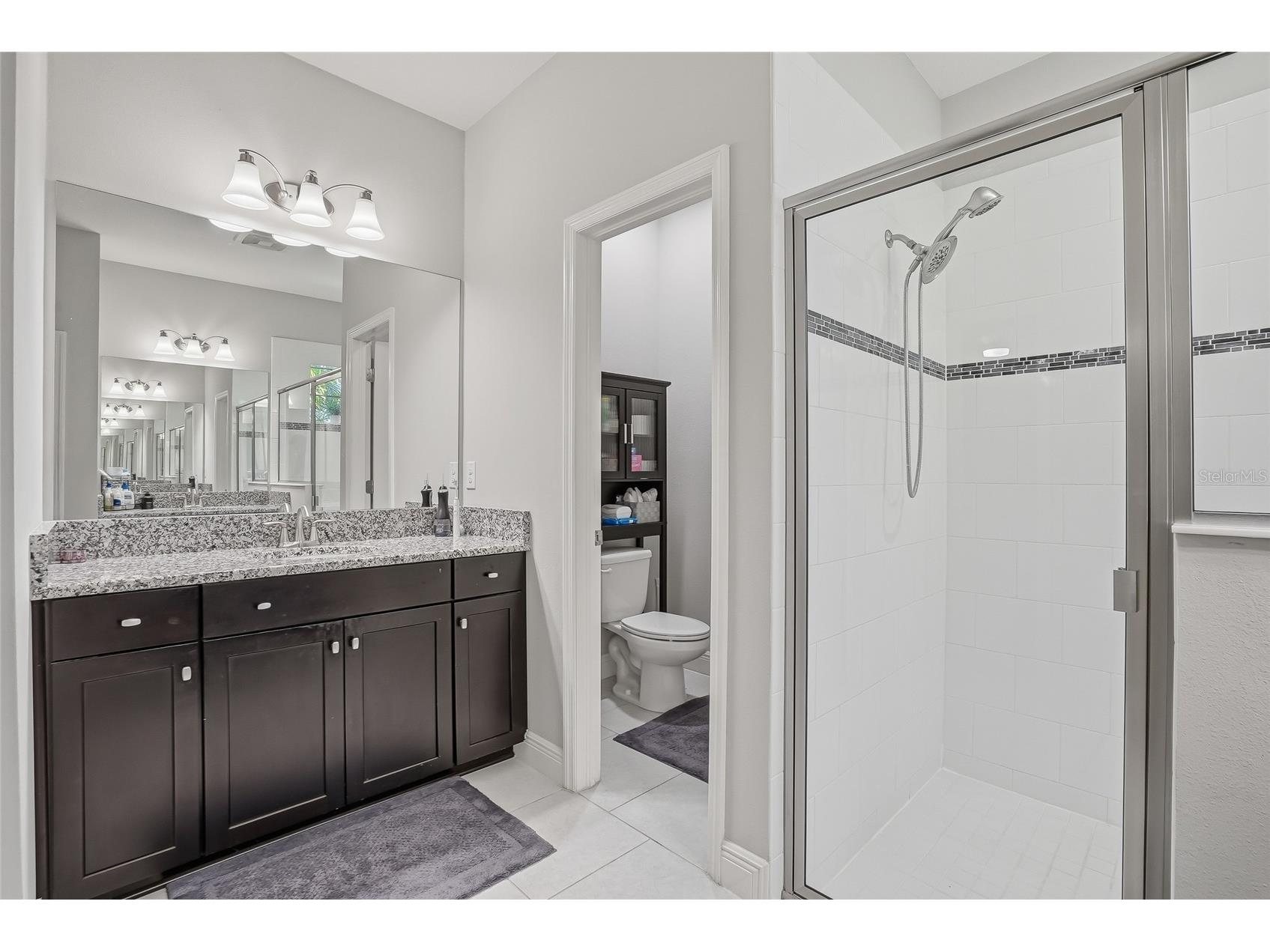 6318 Springline Place Apollo Beach FL 33572 TB8503487 image20