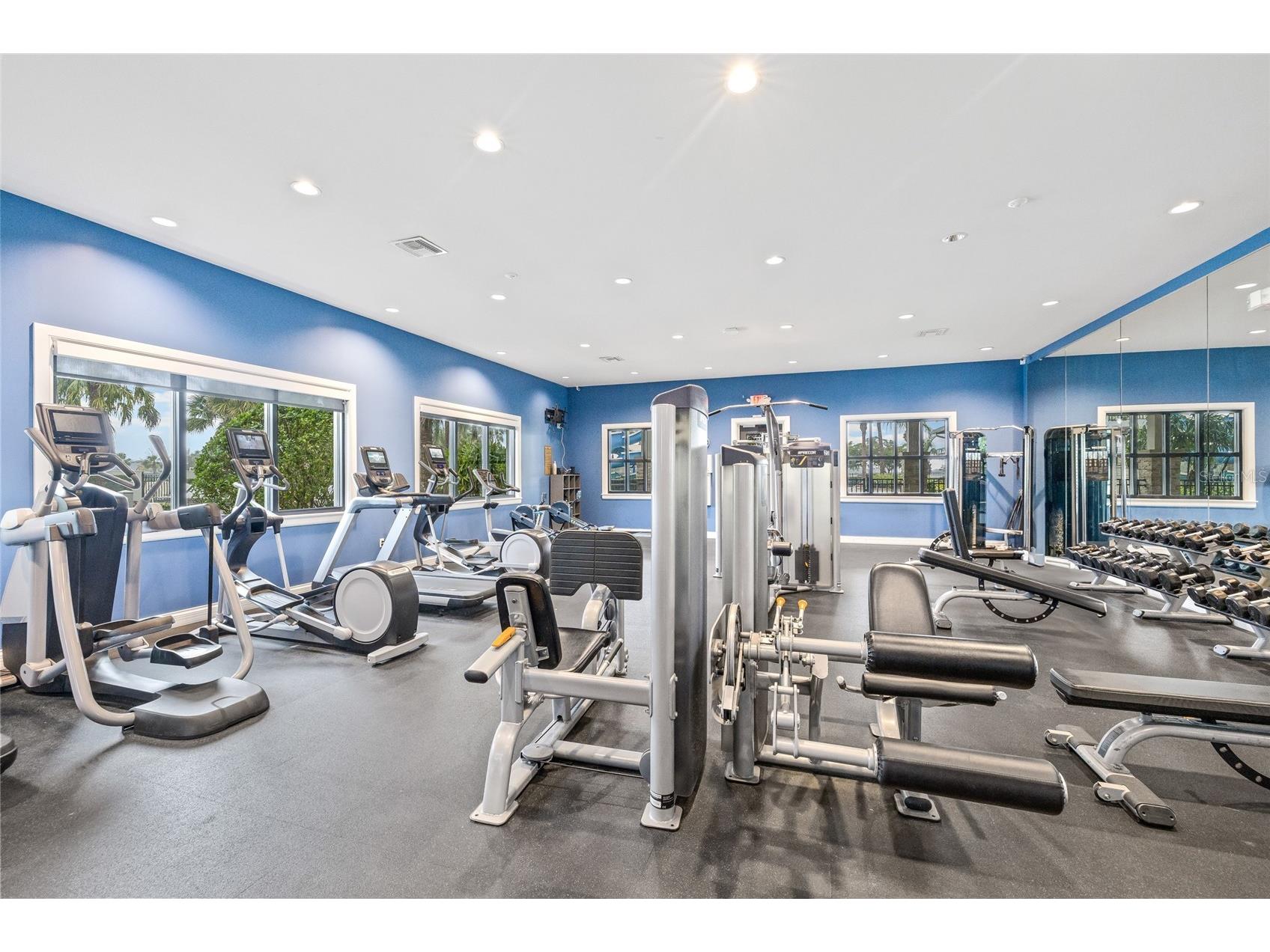6318 Springline Place Apollo Beach FL 33572 TB8503487 image42