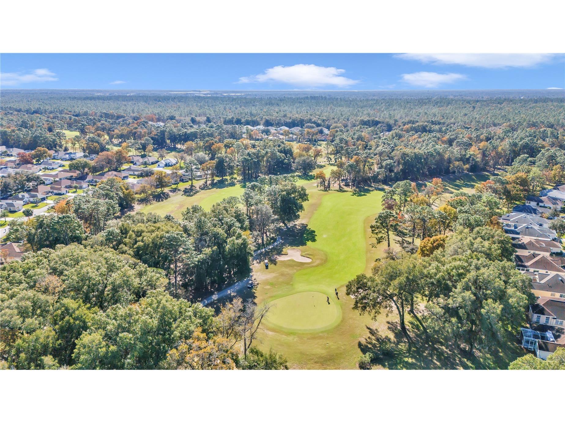 6318 SW 117th Loop Ocala FL 34476 OM721698 image43