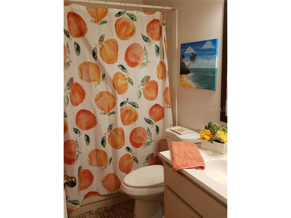 6318 Turtlemound Road New Smyrna Beach FL 32169 NS1085937 image21