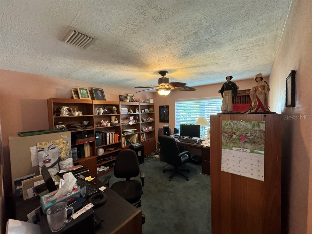 6319 Cocoa Lane Apollo Beach FL 33572 - FLAMINGO CANAL TB8366074 image32