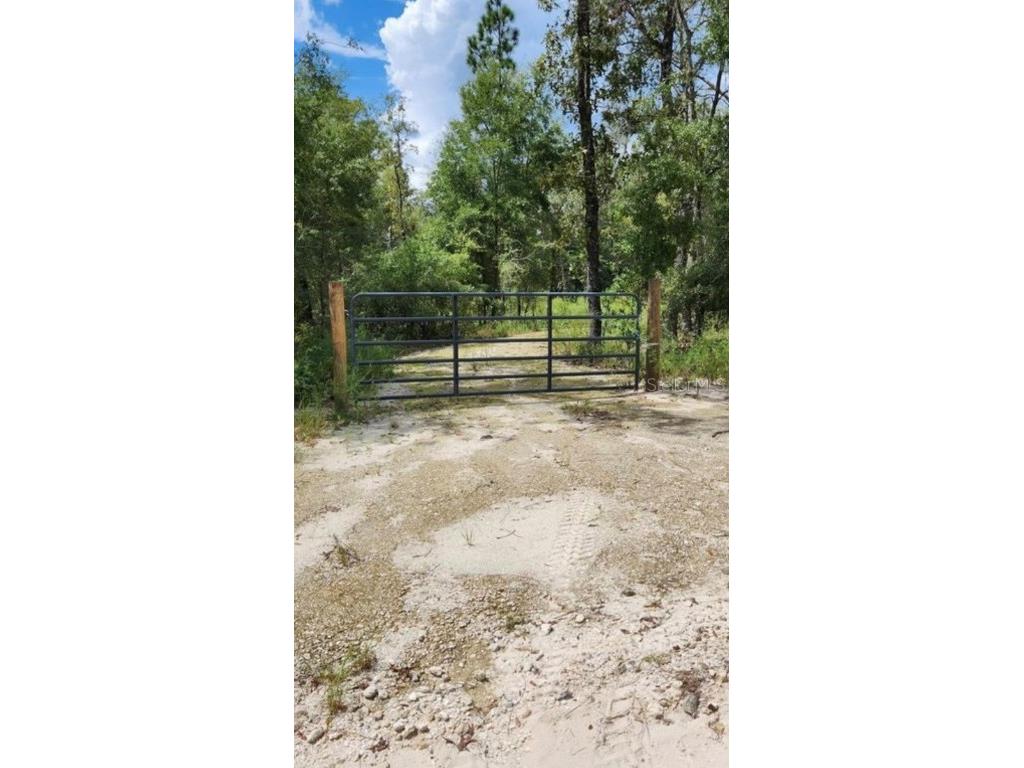 6319 NW 12th Court Bell FL 32619 GC515446 image1