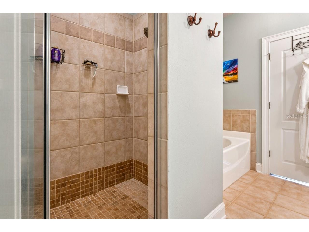 6319 Sunset Bay Circle Apollo Beach FL 33572 W7882922 image47