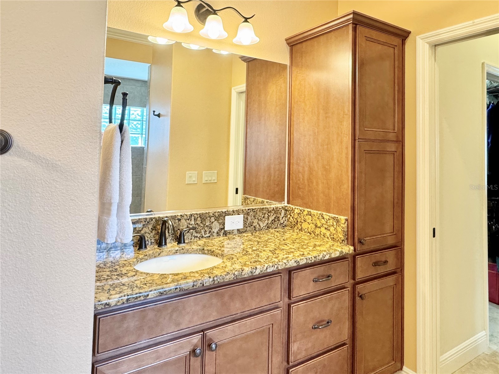 632 Coronaca Court The Villages FL 32163 G5114576 image21