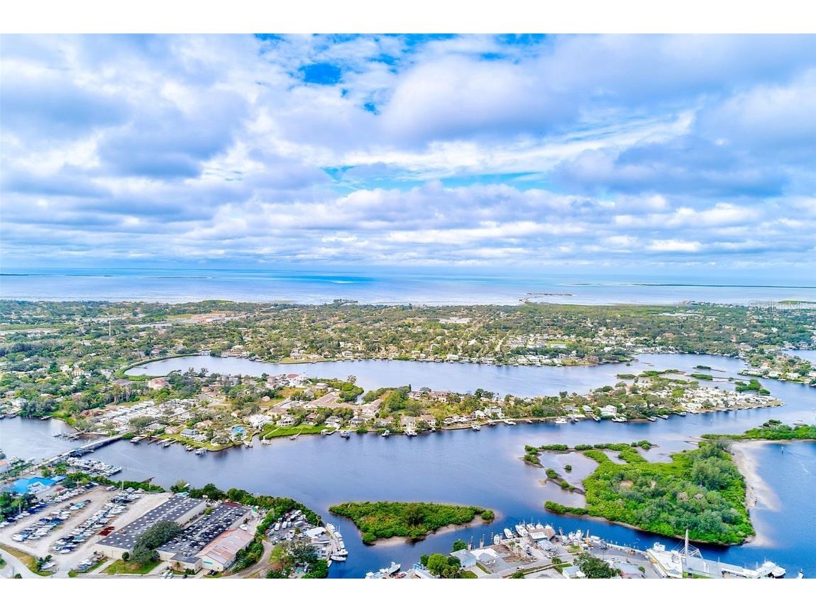 632 Cross Street Tarpon Springs FL 34689 TB8438161 image39