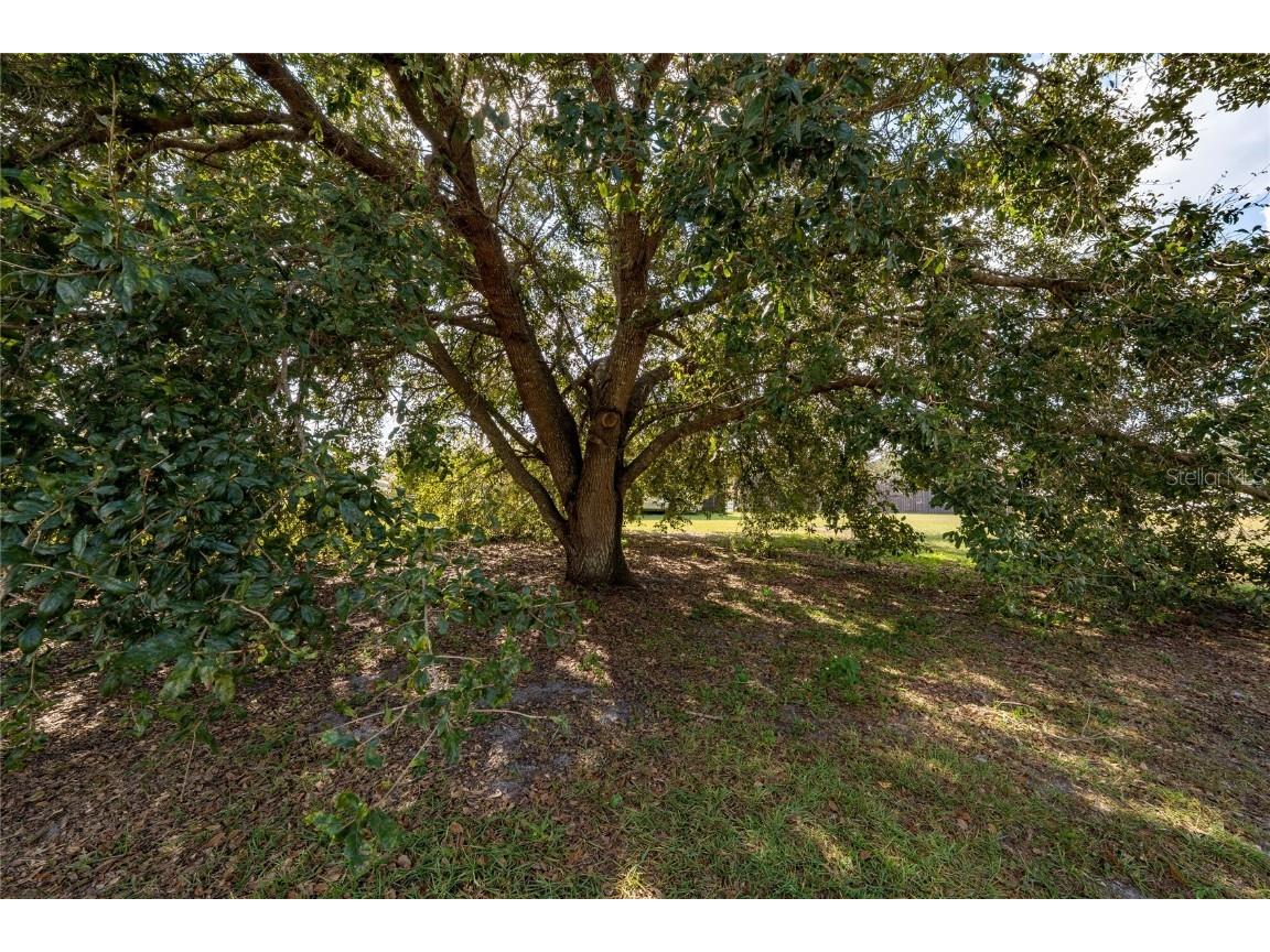 632 Deauville Court Kissimmee FL 34758 S5138953 image29