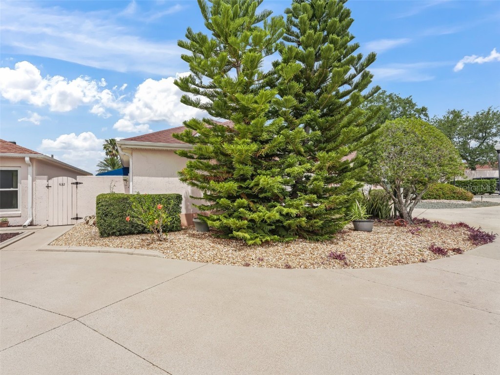 632 Delgado Avenue Lady Lake FL 32159 G5100434 image5