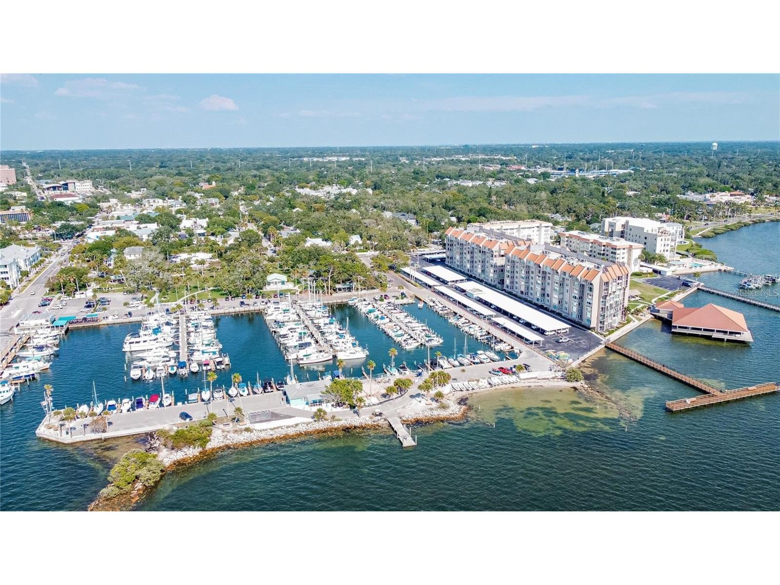 632 Edgewater Drive #139 Dunedin FL 34698 TB8505458 image1
